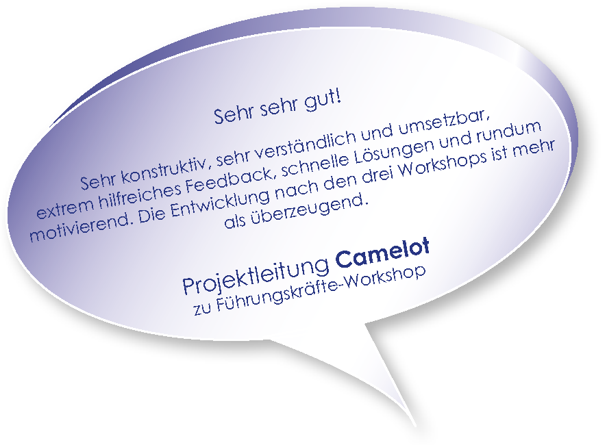 Testimonial von Camelot zum Team-Coaching mit Melters und Partner