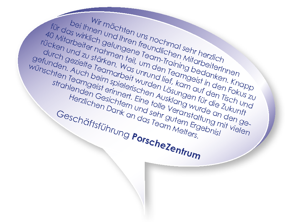 Testimonial von Porsche zum Training Teams stärken mit Melters und Partner