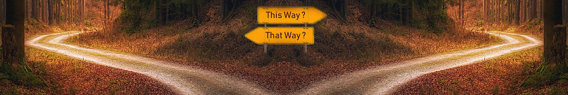 Thisthatway
